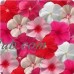 Vinca Flower Garden Seeds - Mediterranean XP Series - Color Mix - 100 Seeds - Annual Flower Gardening Seed   566997084